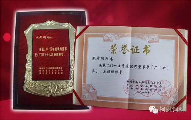 2015年度優(yōu)秀董事長