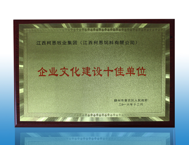 企業(yè)文化建設(shè)十佳單位