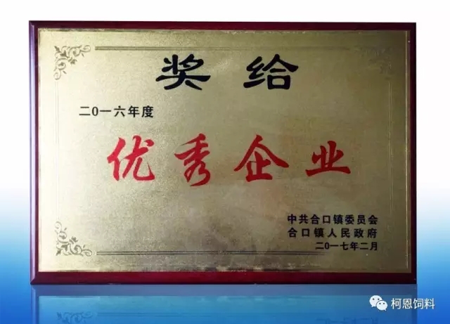 常德柯恩榮獲優(yōu)秀企業(yè)