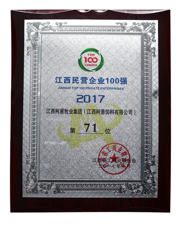 2017年江西省民營(yíng)企業(yè)100強(qiáng)
