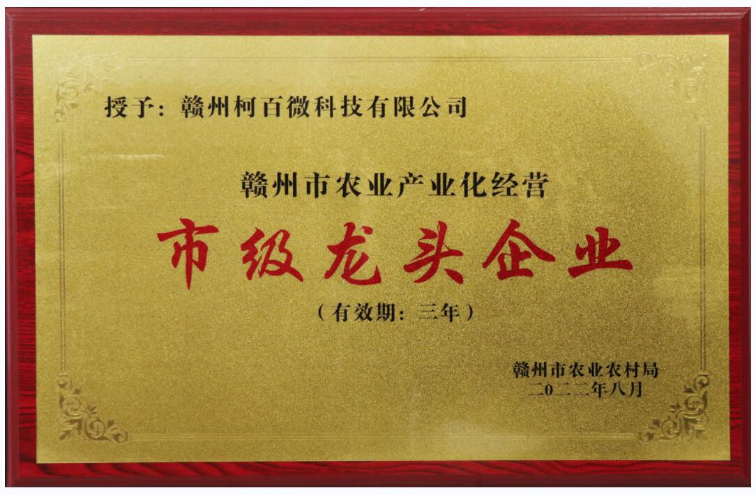 農(nóng)業(yè)產(chǎn)業(yè)化經(jīng)營(yíng)市級(jí)龍頭企業(yè)（柯百微）