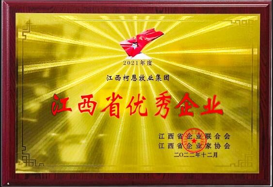 2022年度江西省優(yōu)秀企業(yè)（牌匾）