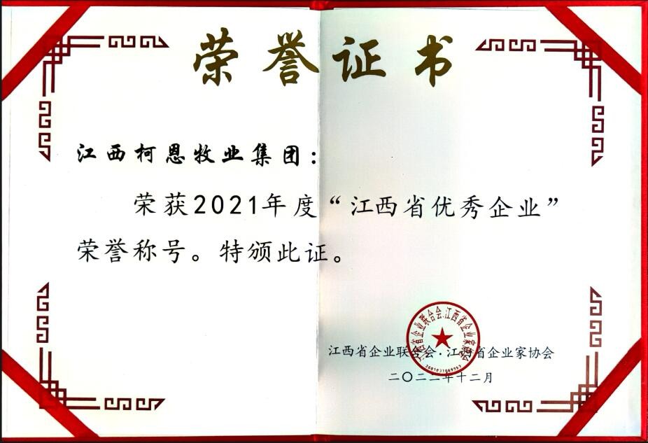 2022年度江西省優(yōu)秀企業(yè)（證書）